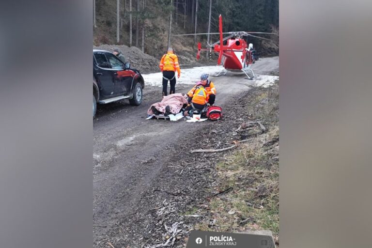V lese pri obci Fačkov napadol muža medveď V lese pri obci Fačkov napadol muža medveď