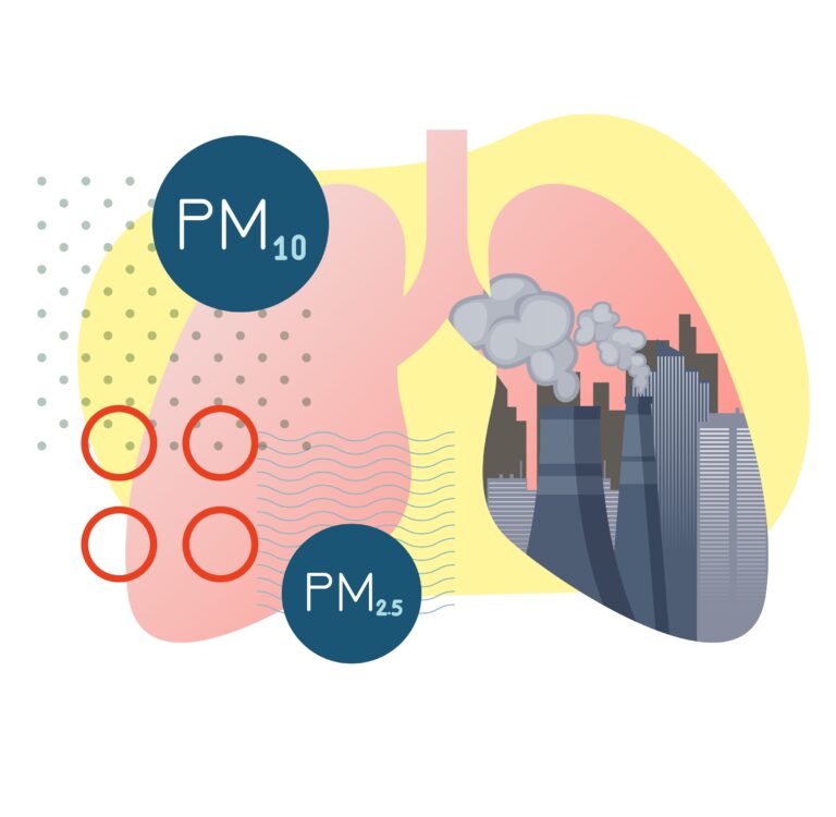 Takto škodí smog