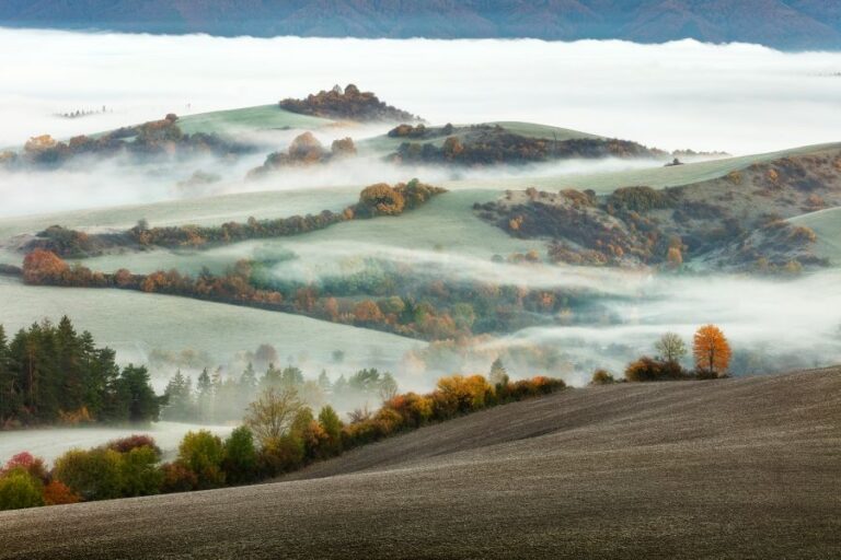 Gavura